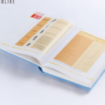 Znanstvena monografija, Univerza Maribor, 2009 (tabelarični prikaz)