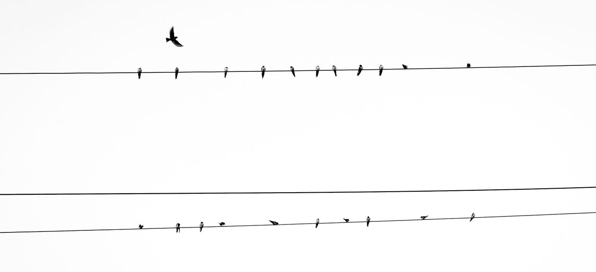 Moč in lepota oblik, moč belega prostora